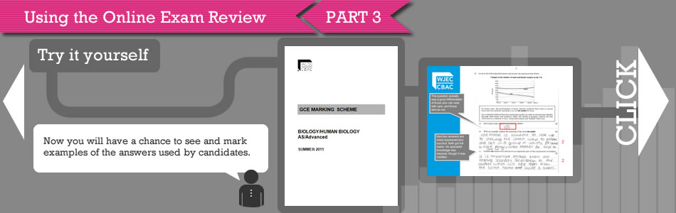 Online Exam Review Step 03 Image 